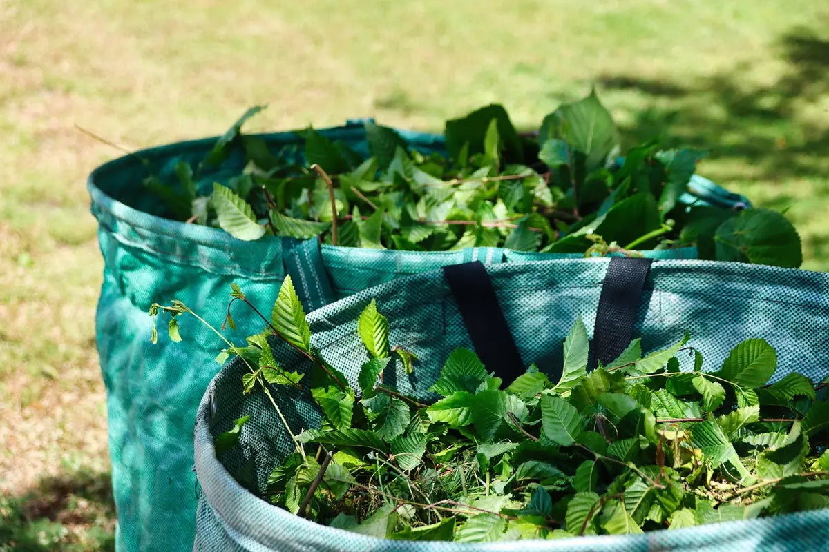 Fruits tombés et compost non fermé attirant la faune dans un jardin