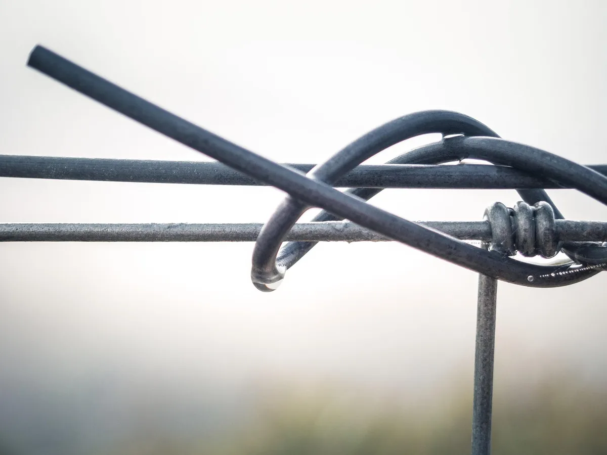 Grillage enterré et traces de creusement près d'une clôture