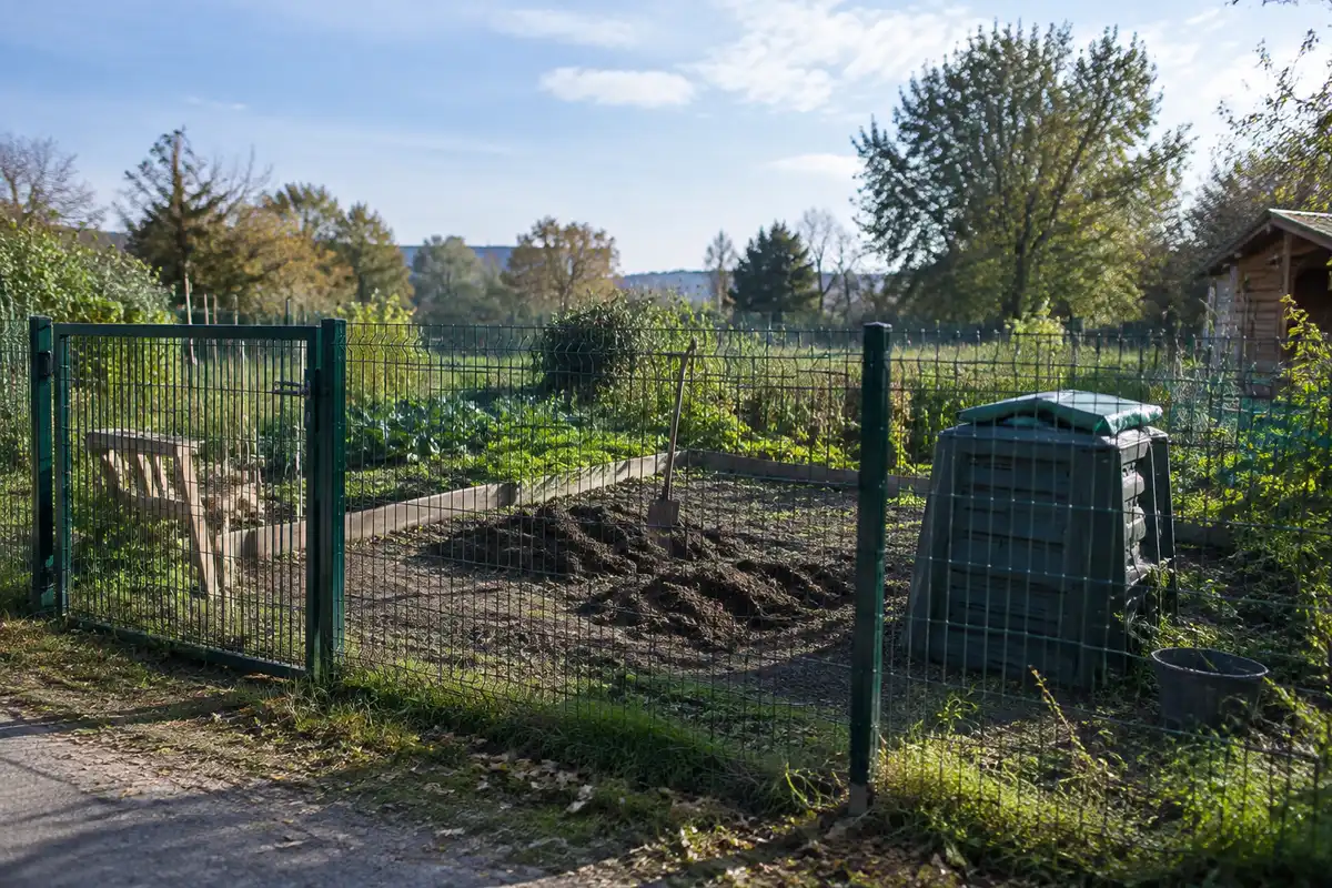 Comment éloigner les sangliers ?